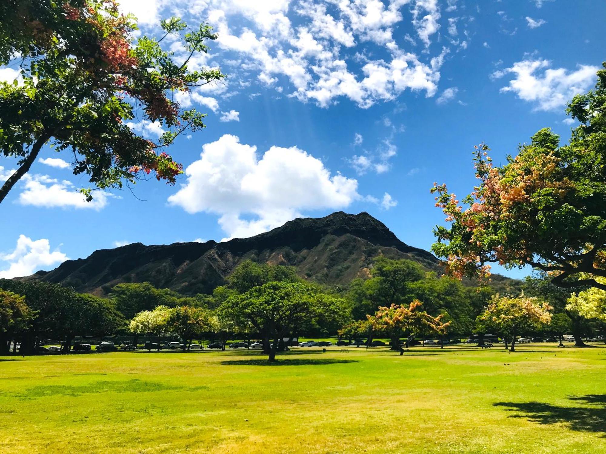 Royal Kuhio 1606 - Spacious Studio With Diamond Head City Views In The Heart Of Waikiki! Honolulu Eksteriør bilde