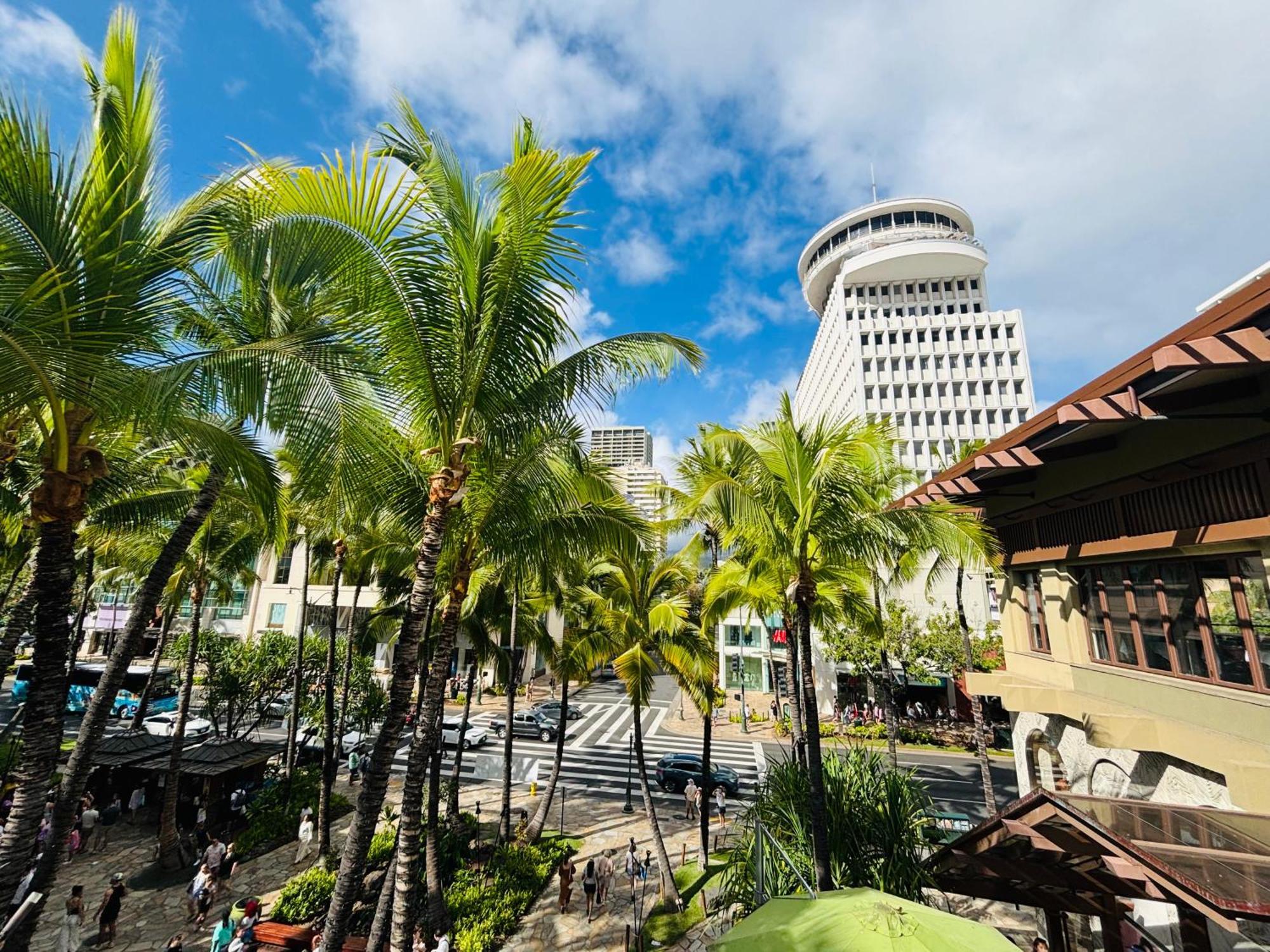 Royal Kuhio 1606 - Spacious Studio With Diamond Head City Views In The Heart Of Waikiki! Honolulu Eksteriør bilde